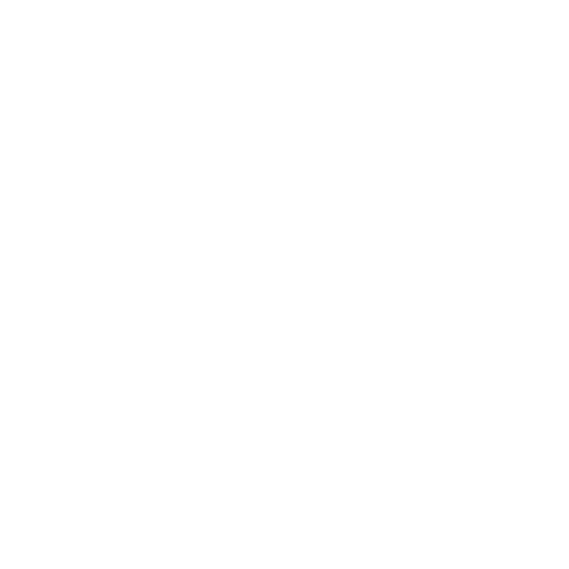 Life Assets