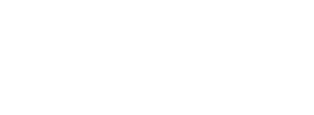 Nueva Economía