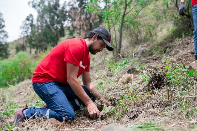 Imagen de portada: La planta productiva de EMBOL Cochabamba transforma lodo residual en abono orgánico para Reforestación