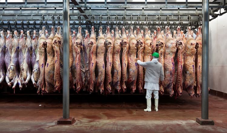 Imagen de portada: Contrabando, la problemática advertida por el sector ganadero en medio del freno a la exportación de carne