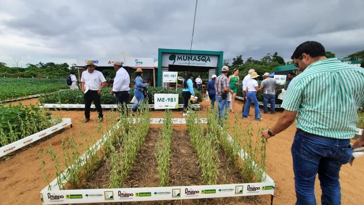 Imagen de portada: Exposoya reafirma la innovación en prácticas agrícolas sostenibles para aumentar la producción de alimentos