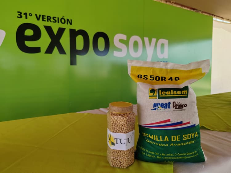 Imagen de portada: Dos nuevas variedades de soya se suman a la oferta nacional y muestran la innovación del sector privado