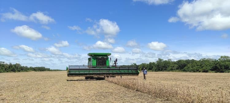 Imagen de portada: Anapo: los productores están desesperados por salvar la producción de alimentos para el país