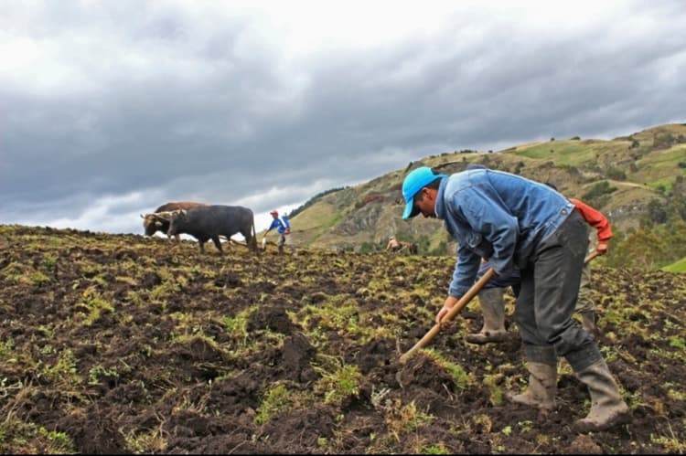 Imagen de portada: CAF invertirá $us 8.500 millones hasta 2030 para impulsar la prosperidad agropecuaria en América Latina