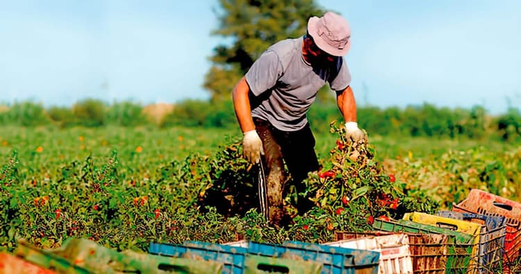 Imagen de portada: ¿Qué espera el sector productivo boliviano de la cooperación internacional?