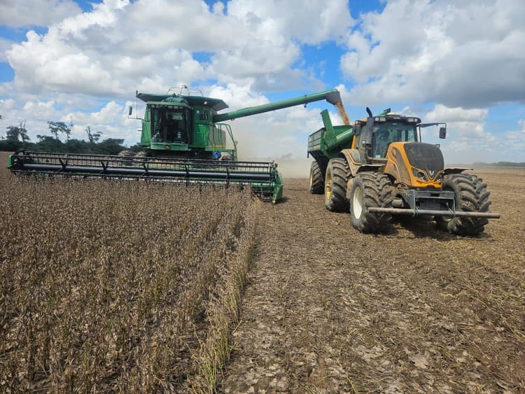 Imagen de portada: Anapo prevé que la producción de  soya llegará a 2,3 millones de toneladas