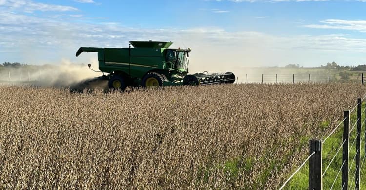 Imagen de portada: El Gobierno boliviano reactiva la exportación de soya, pero pone un límite de 250.000 toneladas