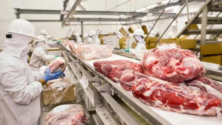 Imagen de portada: Paraguay cierra un acuerdo con Singapur para exportar sus productos cárnicos al país asiático