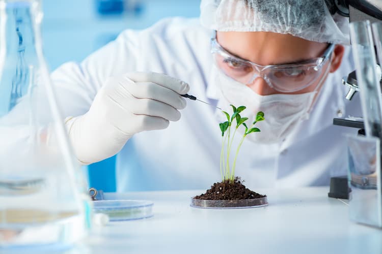 Imagen de portada: Bolivia 2050, la hoja de ruta que propone Nueva Economía hacia un futuro regenerativo, innovador y competitivo