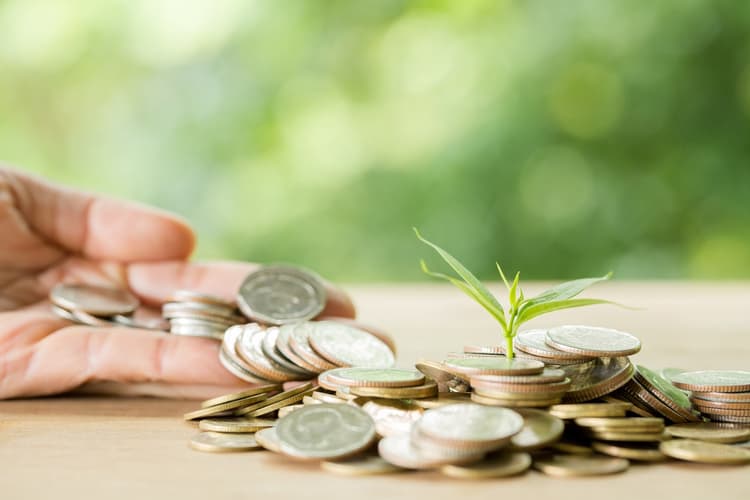 Imagen de portada: Finanzas sostenibles: cuatro estrategias para ahorrar y proteger el planeta