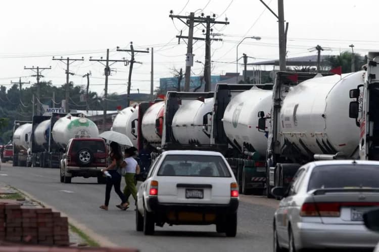 Imagen de portada: Anapo alerta que está en riesgo la siembra más importante  del pais, debido al desabastecimiento de diésel
