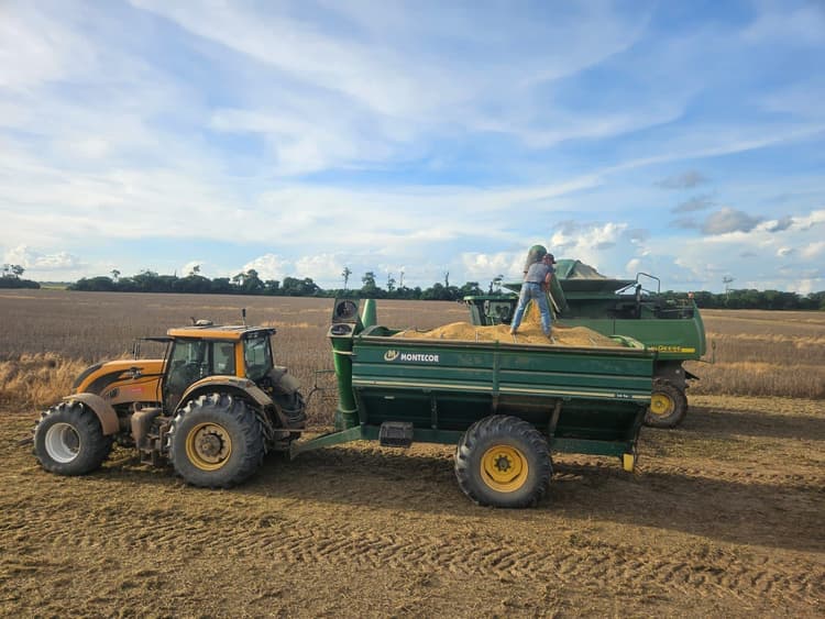 Imagen de portada: Gobierno libera 880 mil toneladas de grano de soya para  exportación, pero productores esperan una apertura total