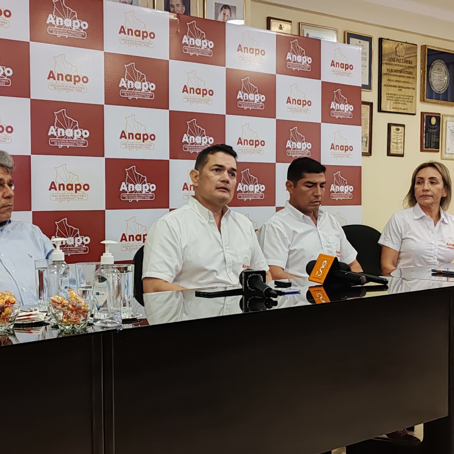 Renueva parte de su directorio: durante 2026-2027, Anapo profundizará acciones para concretar la agenda productiva 