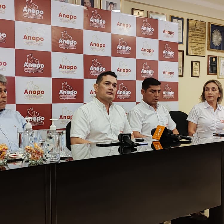 Imagen de portada: Renueva parte de su directorio: durante 2026-2027, Anapo profundizará acciones para concretar la agenda productiva 