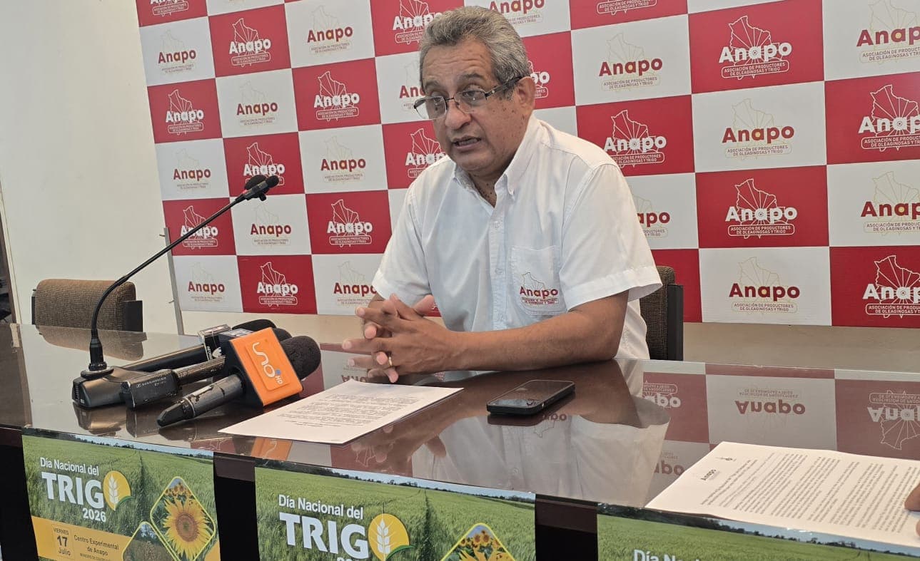 Anapo impulsa el Día Nacional del Trigo para fortalecer una  producción nacional que hoy cubre solo el 11% del consumo