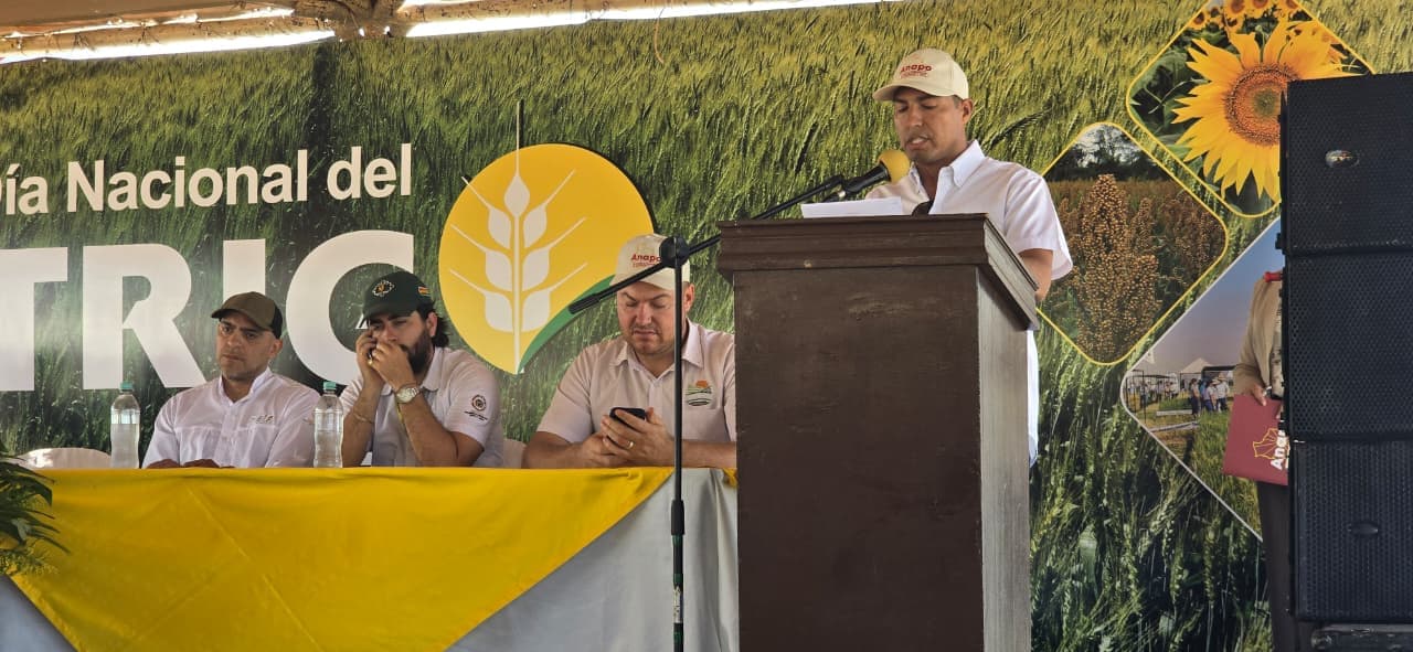 Día Nacional del Trigo plantea agenda para recuperar la  producción nacional y fortalecer la seguridad alimentaria