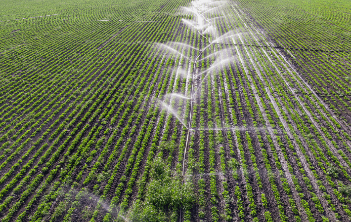 Imagen de portada: EL AGUA, UN PUNTAL DE CRECIMIENTO ECONÓMICO