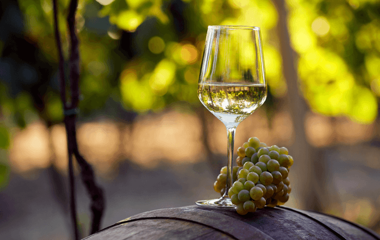 Imagen de portada: LA LLEGADA DEL VINO Y DEL SINGANI A BOLIVIA