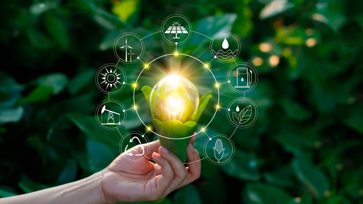 Imagen de portada: EMPRENDIMIENTOS DE IMPACTO SOCIAL
