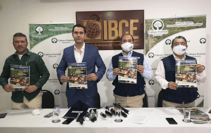Imagen de portada: Sector forestal crearía más de 400.000 empleos