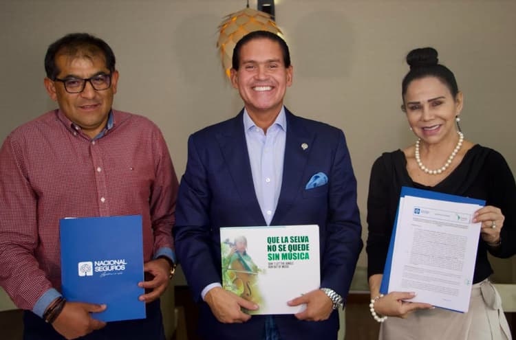 Imagen de portada: Seguros para jóvenes músicos