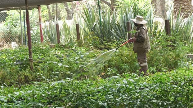 Imagen de portada: Ecofuturo apoya reforestación