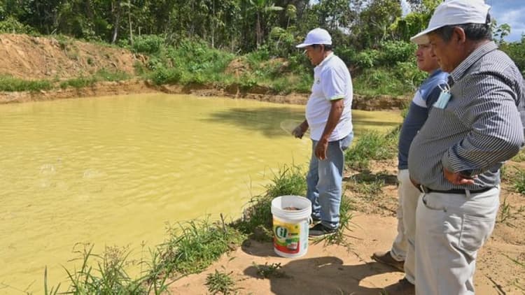 Imagen de portada: Reactivación piscícola en Guarayos