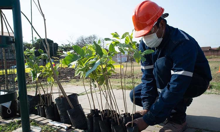 Imagen de portada: Embol, empresa con buenas prácticas de sostenibilidad