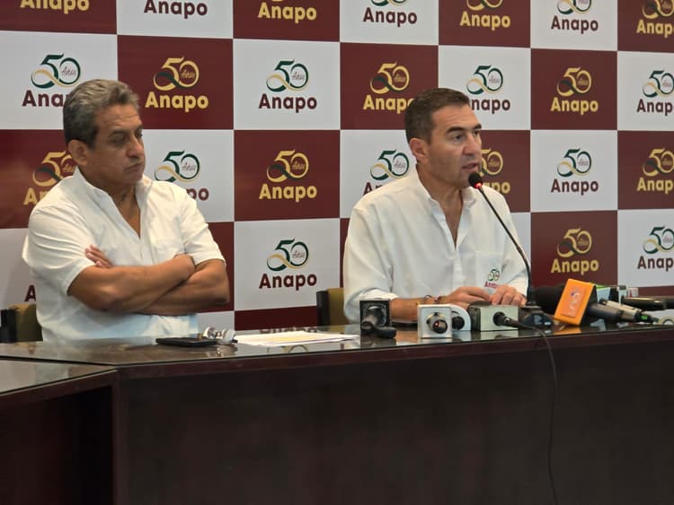 Imagen de portada: Con 800 mil toneladas menos de producción que en 2023, la soya enfrenta su peor crisis de los últimos 30 años