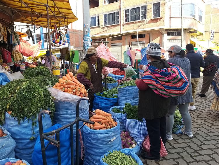Imagen de portada: Bolivia: Estrategias para protegerse de la inflación