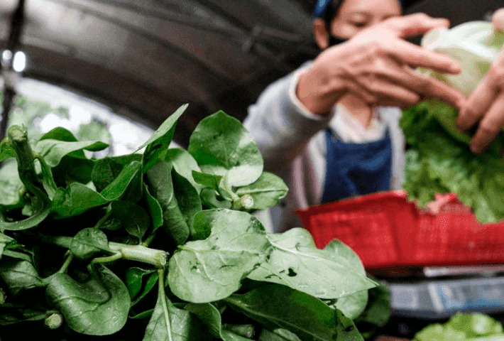 Imagen de portada: CALIDAD ALIMENTICIA Y NORMAS SANITARIAS