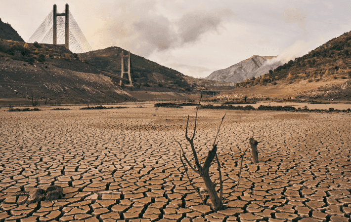 Imagen de portada: El cambio climático amenaza un tercio de la producción mundial de alimentos