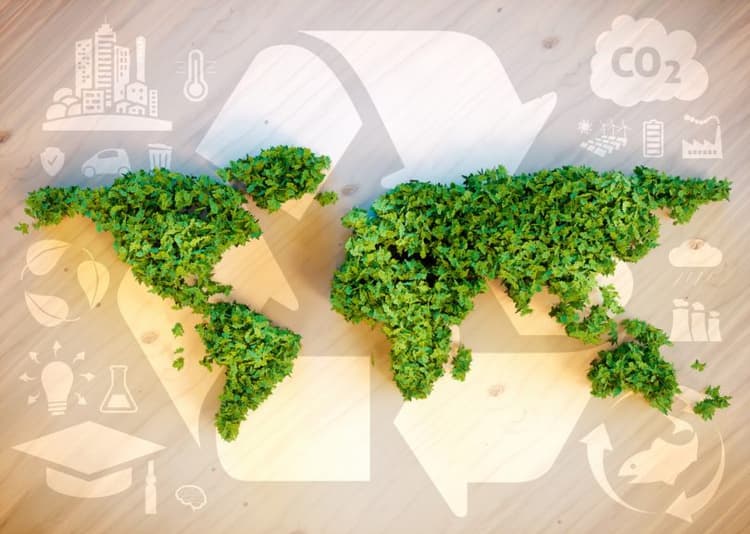 Imagen de portada: BIOECONOMÍA, UNA REFORMULACIÓN AL PAPEL DE LA AGRICULTURA