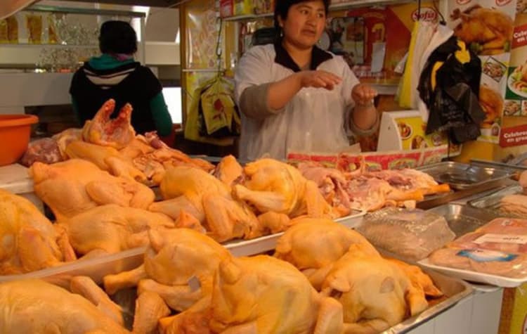 Imagen de portada: Existirá desabastecimiento de carne de pollo y huevo