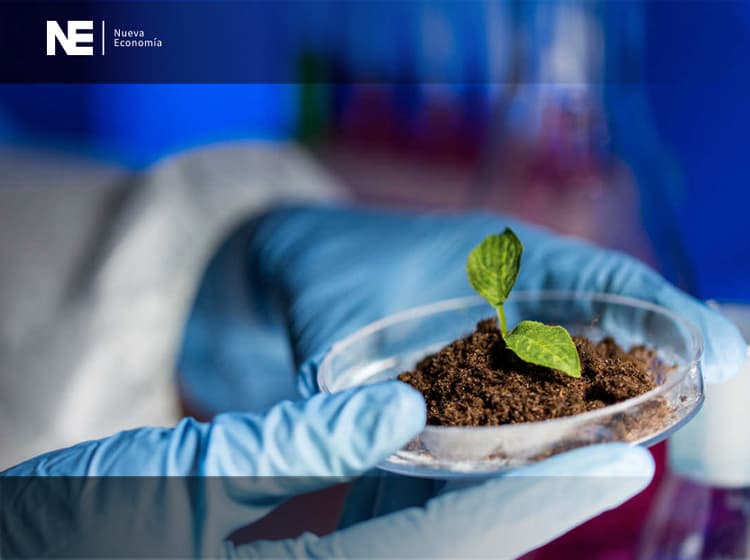Imagen de portada: PRODUCTORES PIDEN URGENTE LA BIOTECNOLOGÍA