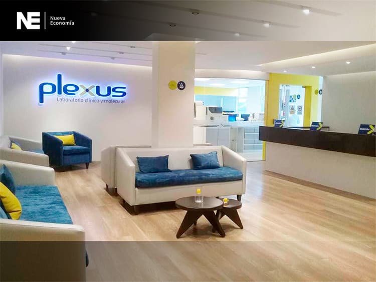 Imagen de portada: PLEXUS LABORATORIO, UNA OFERTA DE TALLA MUNDIAL