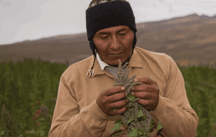 Imagen de portada: Andean Valley S.A.