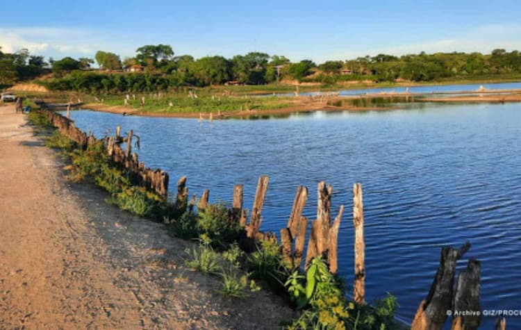 Imagen de portada: Medioambiente y cambio climático