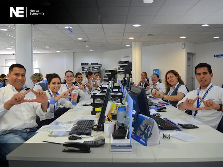 Imagen de portada: RANKING DE SEGUROS 2019