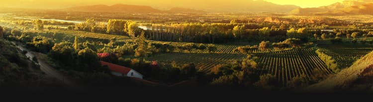 Imagen de portada: Vinos de altura; más cerca del cielo