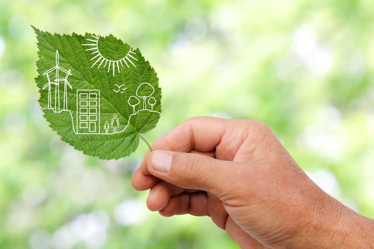 Imagen de portada: SUSTENTABILIDAD EN LA CULTURA EMPRESARIAL
